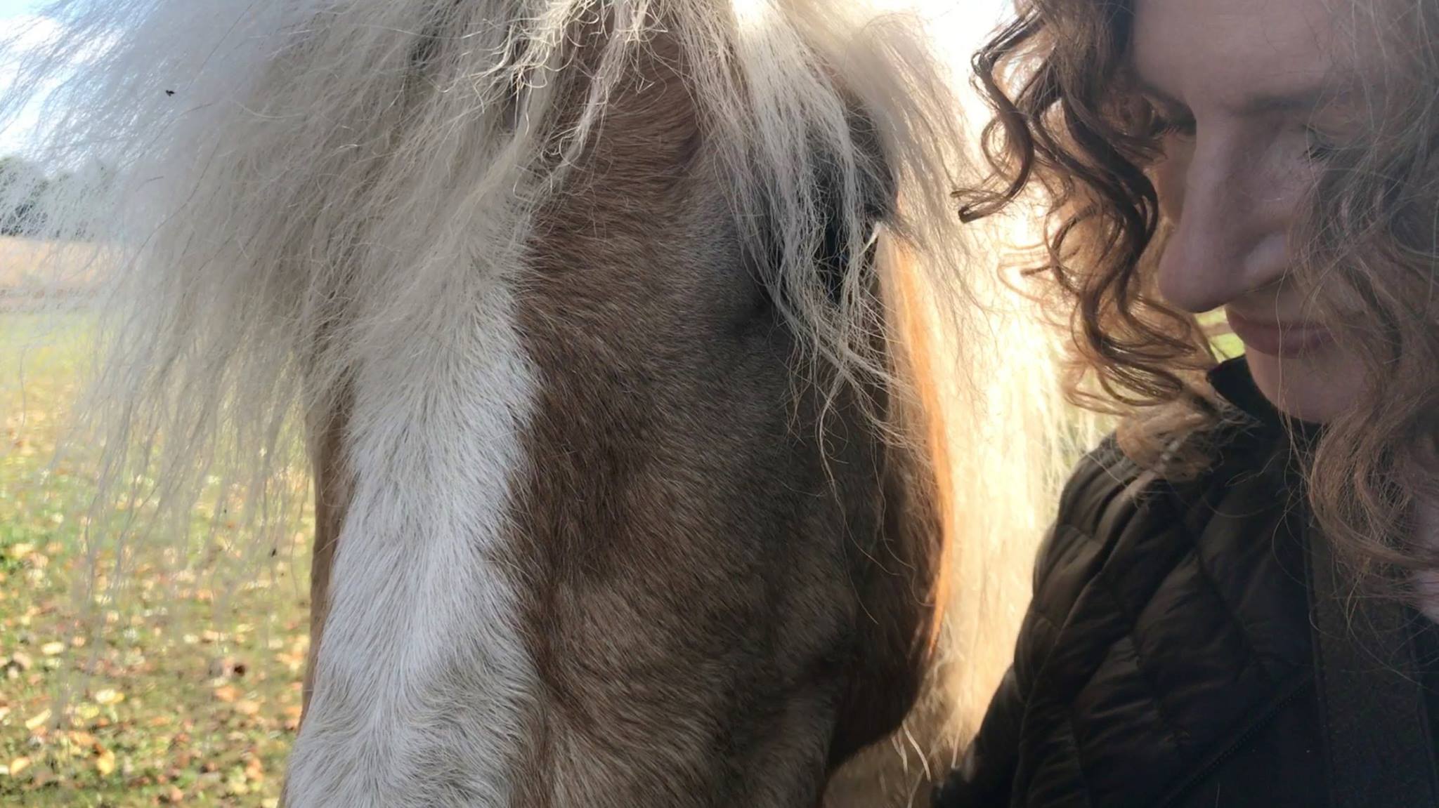 With Horse